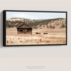 Minimalist western panoramic wall art featuring bison in natural grassland setting.