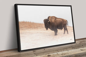Foggy Bison Wall Art – Rustic Western Wildlife Print
