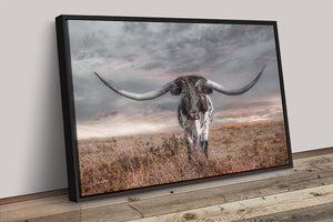 Texas Longhorn Wall Art | Huge Horns Rustic Western Canvas Print