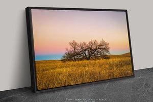 Kansas Flint Hills wall art – sunrise prairie landscape photography by Debra Gail Fine Art
