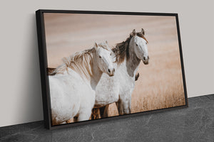 Two Mustangs Horse Wall Art - Flint Hills Kansas