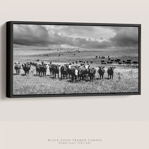 Black Angus Wall Art - Panoramic Angus Cattle Print Canvas | Rustic Decor