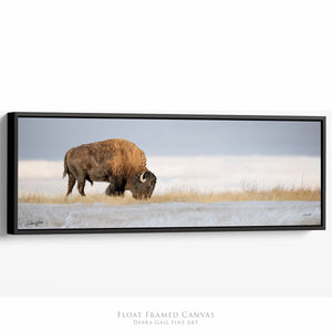 Bison Panoramic Wall Art | Extra Wide Western Decor Canvas