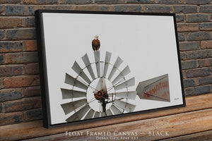 American bald eagle windmill rustic western wall art photography