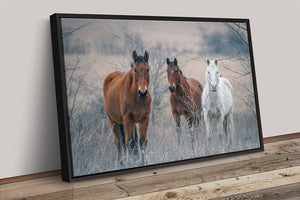 Wild Horses wall art – rustic Western fine art print by Debra Gail Fine Art