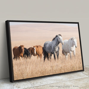 Kansas Flint Hills Wild Horses Wall Art – Prairie Horse Photography