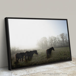 Wild Horses Photography Canvas or Print | Original Debra Gail Fine Art Western Wall Decor