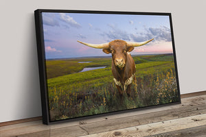 Texas Longhorn wall art – Western ranch photography print by Debra Gail Fine Art