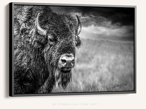 HUGE BISON CLOSE UP PRINT - BUFFALO WALL ART