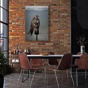 Hawk Art Print | Western Gothic Decor | Wildlife Photography | Rustic Wall Art Canvas
