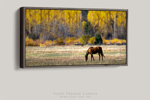 Horse wall art – panoramic rustic Western fine art print by Debra Gail Fine Art