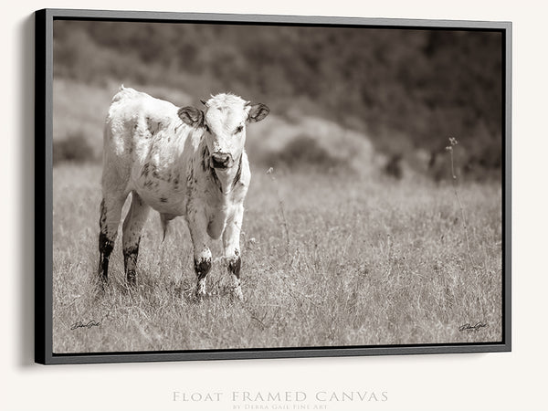 LONGHORN CALF PRINT - FARMHOUSE DECOR