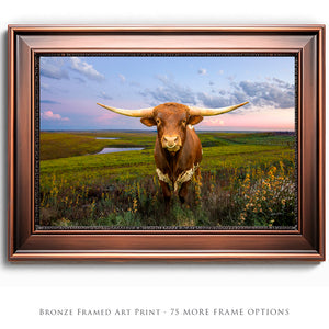 Texas Longhorn wall art – Western ranch photography print by Debra Gail Fine Art