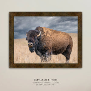 Buffalo Wall Art - Rustic Bison Prairie Framed, Canvas, Barnwood Framed