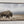 American Bison Panoramic Wall Art | Western Decor