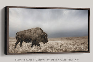 American Bison Panoramic Wall Art | Western Decor