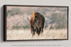 American Buffalo | Wide Panoramic Wall Art Canvas