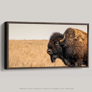 American Bison Panoramic Wall Art – Prairie Buffalo Photography Print, Western Wildlife Canvas