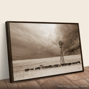 Black Angus Canvas Wall Art | Nebraska Windmill Print Farmhouse Decor