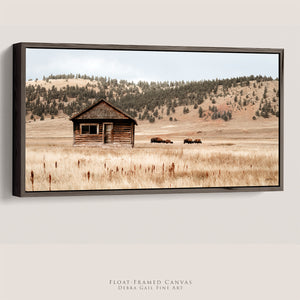 Minimalist western framed panoramic wall art featuring bison in natural grassland setting.