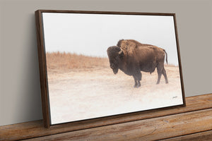 Foggy Bison Wall Art – Rustic Western Wildlife Print