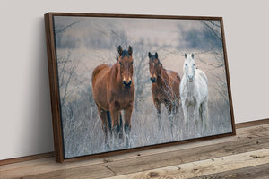 Wild Horses wall art – rustic Western fine art print by Debra Gail Fine Art
