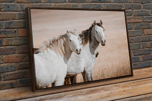 Two Mustangs Horse Wall Art - Flint Hills Kansas