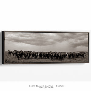 Black Angus Photography in Sepia | Panoramic Wide Cattle Canvas - Rustic Decor