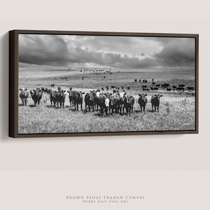 Black Angus Wall Art - Panoramic Angus Cattle Print Canvas | Rustic Decor