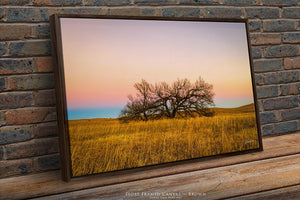 Kansas Flint Hills wall art – sunrise prairie landscape photography by Debra Gail Fine Art