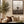 Custom Longhorn in Sepia | Vertical Texas Longhorn Wall Art