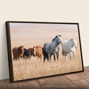 Kansas Flint Hills Wild Horses Wall Art – Prairie Horse Photography