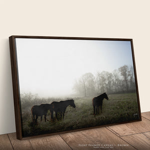 Wild Horses Photography Canvas or Print | Original Debra Gail Fine Art Western Wall Decor