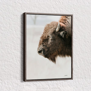 Buffalo fine art print – Great Plains wildlife wall decor by Debra Gail Fine Art