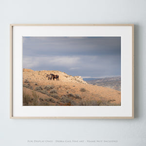 A framed photograph of two horses standing on a rocky hillside against a cloudy sky.