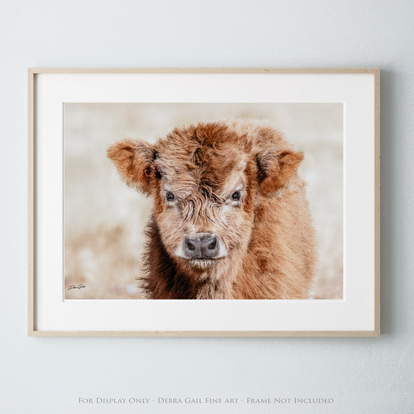 a picture of a baby cow is hanging on a wall