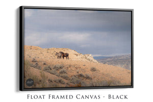 A black framed canvas depicting a desert landscape with two horses standing on a rocky hillside.