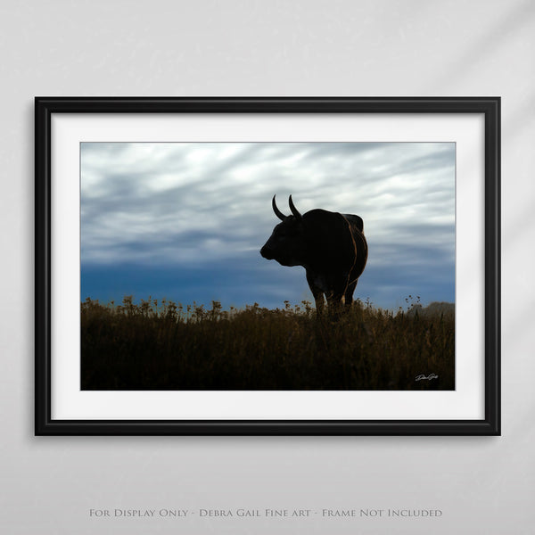 a picture of a bull standing in a field