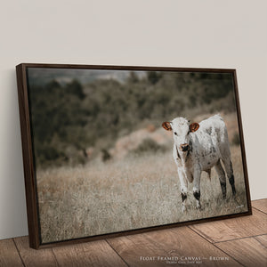 Longhorn Calf Canvas | Texas Longhorn Art - Rustic Farmhouse Wall Decor Print