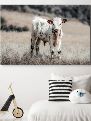 A canvas print of a young longhorn calf standing in a field, with muted tones - children's decor wall art