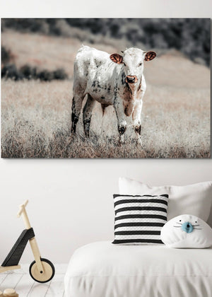 A canvas print of a young longhorn calf standing in a field, with muted tones - children's decor wall art