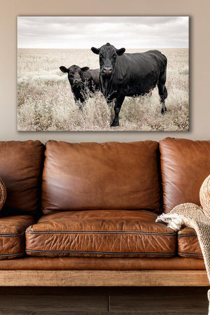 Black Angus cow calf wall art – fine art Western wildlife print by Debra Gail Fine Art