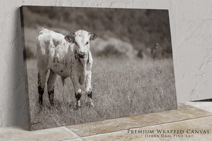 A black and white photograph of a cow standing in a field of tall grass.