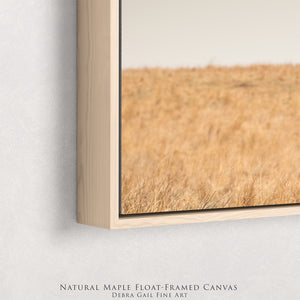 American Bison Panoramic Wall Art – Prairie Buffalo Photography Print, Western Wildlife Canvas