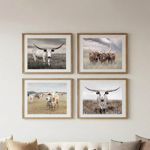 Rustic Texas Longhorn Wall Art — Set of 4