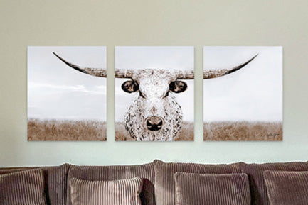 CUSTOM TEXAS LONGHORN SPLIT PANEL SET No. 0505