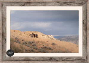 Two horses standing on a rocky hillside in a desert landscape.