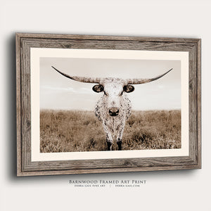 A framed image of a white and brown spotted bull standing in a field.