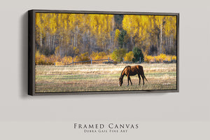 A framed canvas depicting a brown horse grazing in a field with yellow trees in the background.