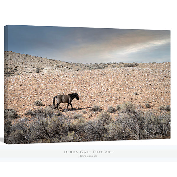 a horse is walking in the desert with a cloudy sky